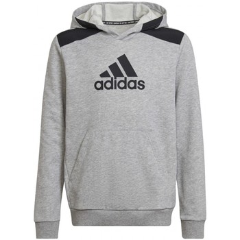 Textiel Jongens Sweaters / Sweatshirts adidas Originals B Bos Hd Grijs