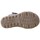 Schoenen Sandalen / Open schoenen Coquette 26308-24 Bruin