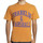 Textiel Heren T-shirts korte mouwen Franklin & Marshall T-shirt à manches courtes Oranje