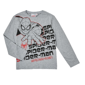 Textiel Jongens T-shirts met lange mouwen TEAM HEROES  T-SHIRT SPIDER-MAN Grijs