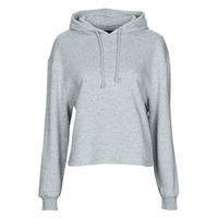 Textiel Dames Sweaters / Sweatshirts Pieces PCCHILLI LS HOODIE Grijs