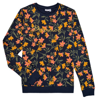 Textiel Meisjes Sweaters / Sweatshirts Name it NKFLOBINA Multicolour
