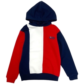Textiel Kinderen Sweaters / Sweatshirts Fila 688009 Blauw