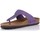 Schoenen Dames Sandalen / Open schoenen Interbios SANDALS  7110 Violet