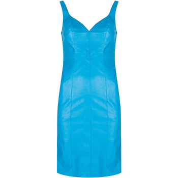 Textiel Dames Korte jurken Pinko  Blauw