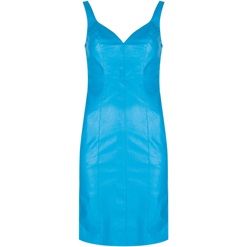 Textiel Dames Korte jurken Pinko 1G160W 7105 | Pudico Abito Blauw
