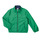 Textiel Jongens Wind jackets Polo Ralph Lauren 323869360001 Groen / Marine