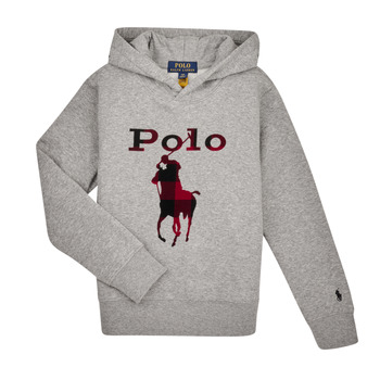 Textiel Jongens Sweaters / Sweatshirts Polo Ralph Lauren 323883104002 Grijs