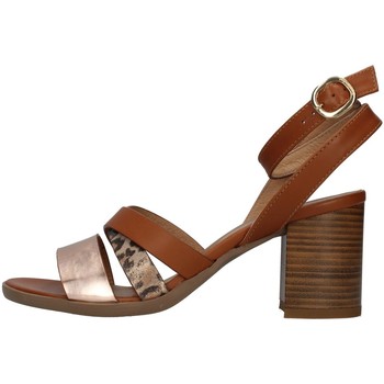 Schoenen Dames Sandalen / Open schoenen NeroGiardini E218651D Bruin
