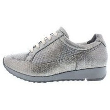Schoenen Dames Sneakers Jj Footwear 508 Accel H Blauwmulti