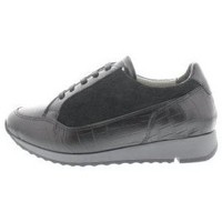 Schoenen Dames Sneakers Jj Footwear 508 Accel K Zwart