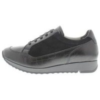 Schoenen Dames Sneakers Jj Footwear Aria H Zwart