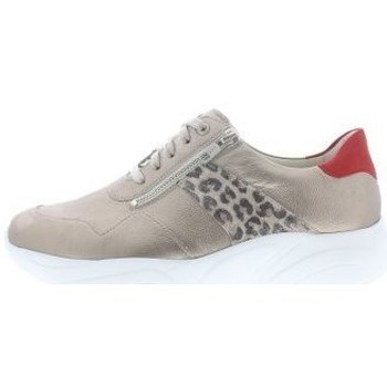 Schoenen Dames Sneakers Solidus Kea Glory/Leopard K Beigemulti