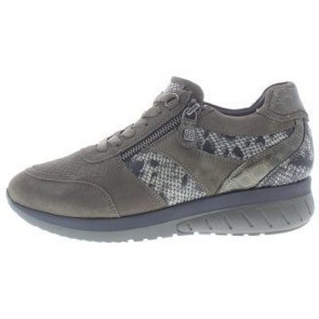 Schoenen Dames Sneakers Helioform 273H Groen