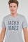 Textiel Heren T-shirts korte mouwen Jack & Jones JJXILO TEE SS CREW NECK Grijs