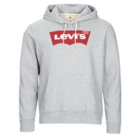 Textiel Heren Sweaters / Sweatshirts Levi's STANDARD GRAPHIC HOODIE Grijs