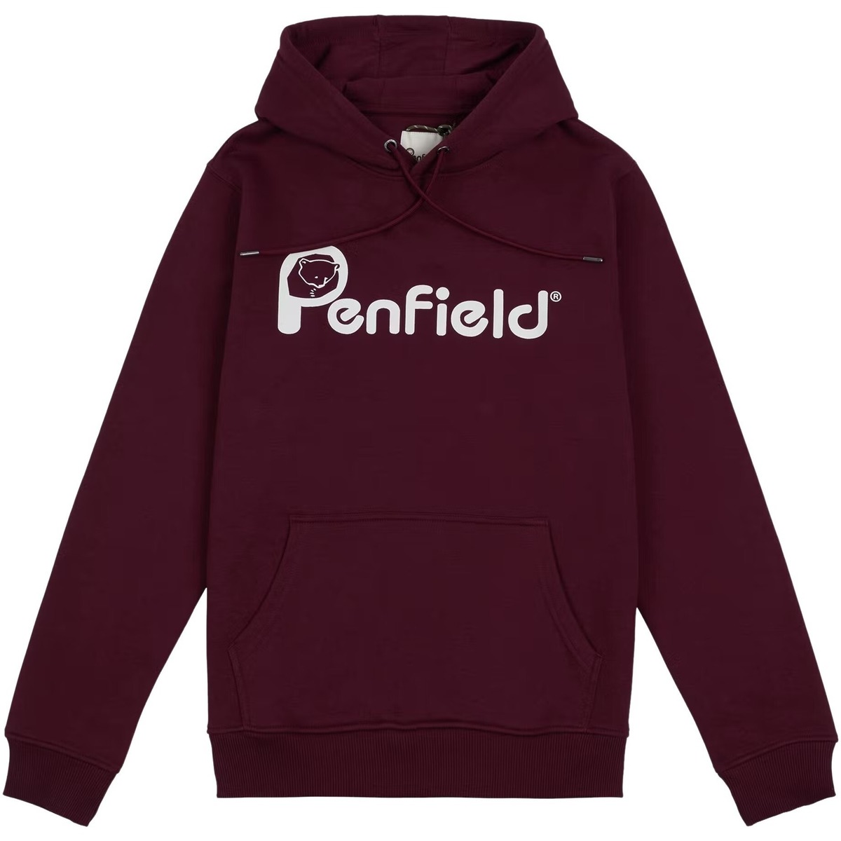 Textiel Heren Sweaters / Sweatshirts Penfield Sweat à capuche  bear chest print bb Violet