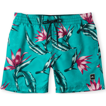 Textiel Jongens Korte broeken / Bermuda's O'neill Short enfant  Print Blauw