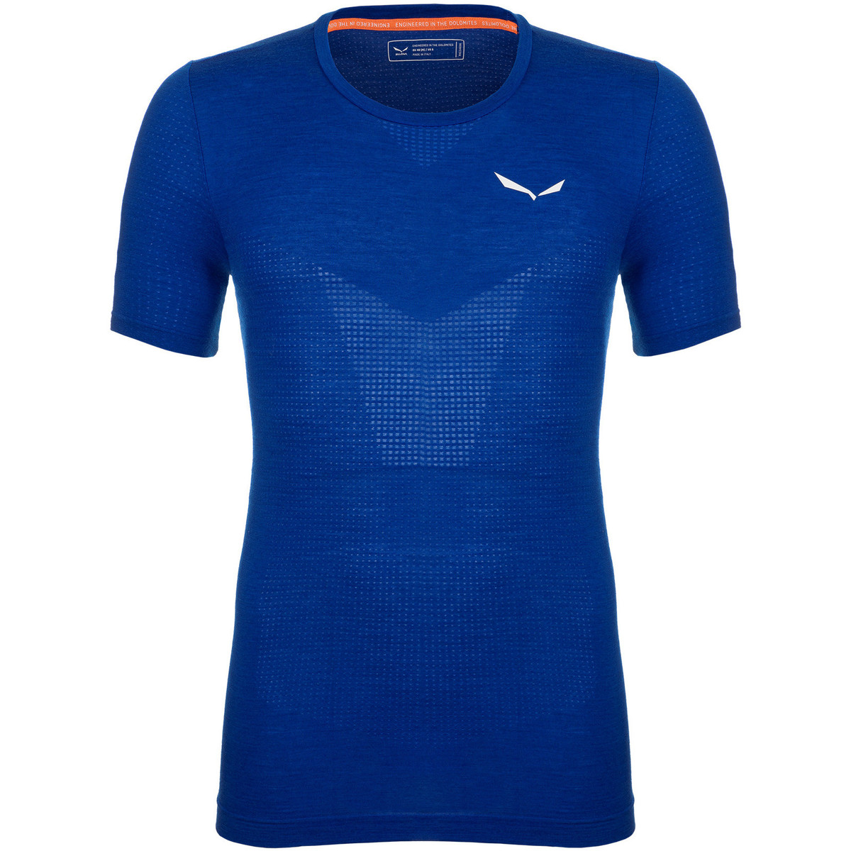Textiel Heren T-shirts & Polo’s Salewa Pedroc Merino Responsive Seamless T-Shirt 28320-8620 Blauw