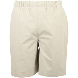 Textiel Heren Korte broeken / Bermuda's Carhartt Hurst Short Beige