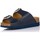 Schoenen Dames Sandalen / Open schoenen Scholl MANDEN  F29864 Blauw