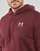 Textiel Heren Sweaters / Sweatshirts Under Armour UA Essential Fleece Hoodie Chestnut / Rood / Wit