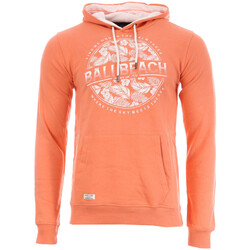 Textiel Heren Sweaters / Sweatshirts Deeluxe  Oranje