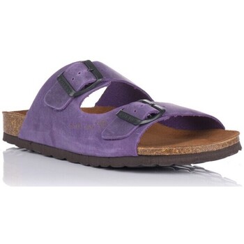 Schoenen Dames Leren slippers Interbios MANDEN  7206 Violet