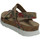 Schoenen Dames Sandalen / Open schoenen Panama Jack  Multicolour