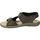 Schoenen Heren Sandalen / Open schoenen Palmipao-Aclys Be Fly Flow S120-05-03 Bruin