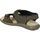 Schoenen Heren Sandalen / Open schoenen Palmipao-Aclys Be Fly Flow S120-05-03 Bruin