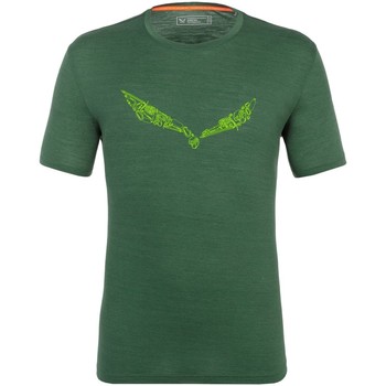 Textiel Heren T-shirts korte mouwen Salewa Pure Hardware Merino Men's T-Shirt 28384-5320 Groen