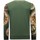 Textiel Heren Sweaters / Sweatshirts Tony Backer Print Leeuw Head Groen