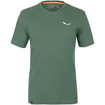 Textiel Heren T-shirts korte mouwen Salewa Pure Dolomites Hemp Men's T-Shirt 28329-5320 Groen