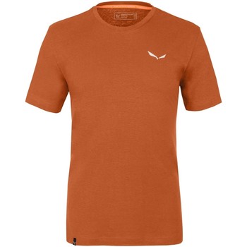 Textiel Heren T-shirts korte mouwen Salewa Pure Dolomites Hemp Men's T-Shirt 28329-4170 Oranje