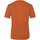 Textiel Heren T-shirts & Polo’s Salewa Pure Dolomites Hemp Men's T-Shirt 28329-4170 Oranje