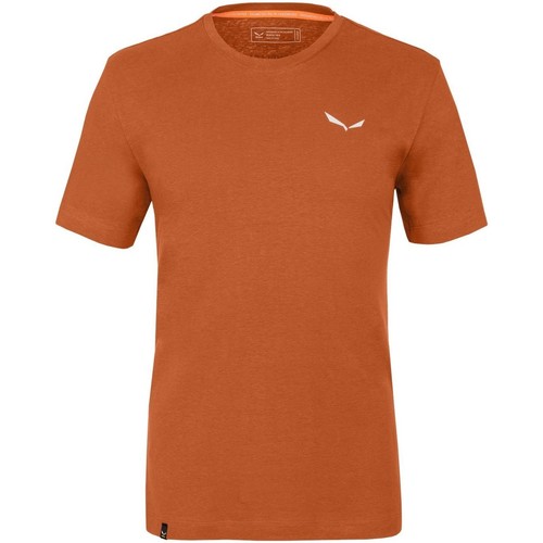 Textiel Heren T-shirts & Polo’s Salewa Pure Dolomites Hemp Men's T-Shirt 28329-4170 Oranje