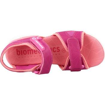 Biomecanics 222261B Roze