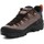 Schoenen Heren Wandelschoenen Salewa Alp Trainer 2 Gore-Tex® Men's Shoe 61400-7953 Multicolour