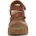 Schoenen Dames Sandalen / Open schoenen Blowfish Malibu  Bruin