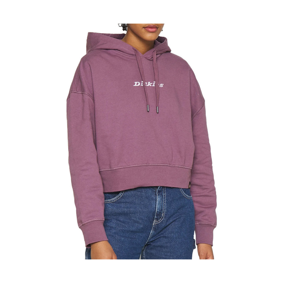 Textiel Dames Sweaters / Sweatshirts Dickies  Violet