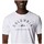 Textiel Heren T-shirts & Polo’s Columbia M GRAPHIC SS TEE BLANC Wit