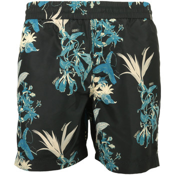 Textiel Heren Korte broeken / Bermuda's Carhartt Drift Swim Trunks Zwart