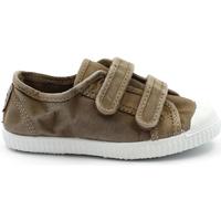 Schoenen Kinderen Lage sneakers Cienta CIE-CCC-78777-46-a Bruin