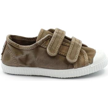 Schoenen Kinderen Lage sneakers Cienta CIE-CCC-78777-46-b Bruin