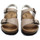 Schoenen Kinderen Sandalen / Open schoenen Pastelle Elroy Beige