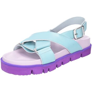 Schoenen Dames Sandalen / Open schoenen Phenumb  Blauw