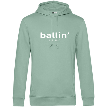 Textiel Heren Sweaters / Sweatshirts Ballin Est. 2013 Basic Hoodie Groen