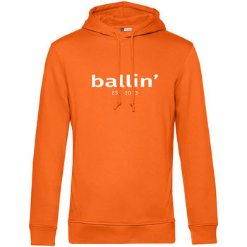 Textiel Heren Sweaters / Sweatshirts Ballin Est. 2013 Basic Hoodie Oranje