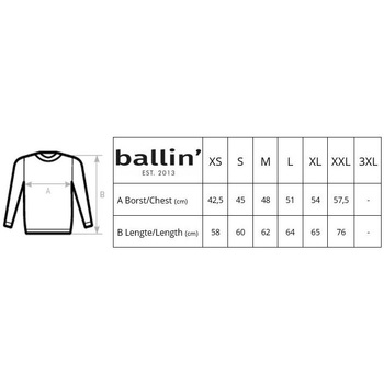 Ballin Est. 2013 Panter Block Sweater Wit